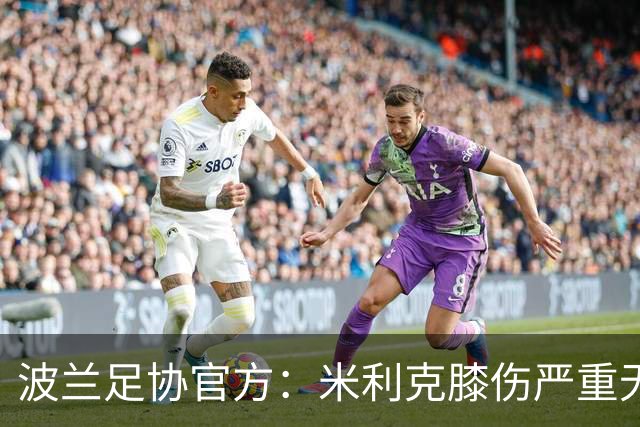 波兰足协官方：米利克膝伤严重无缘欧洲杯